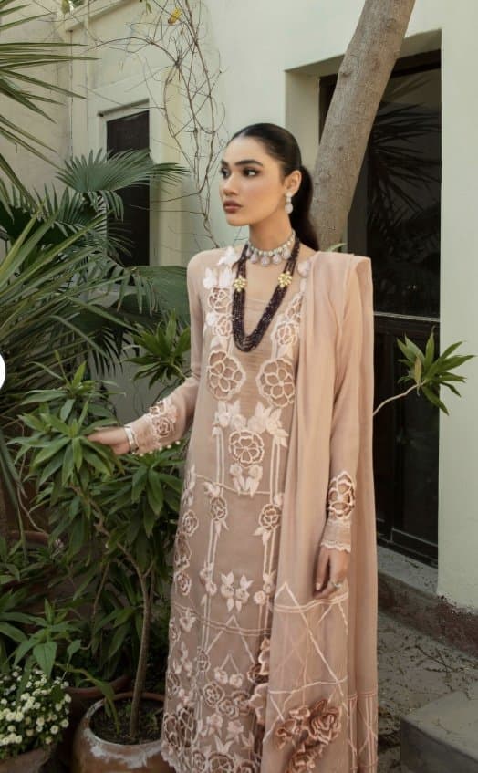 Khaadi net suit with 3D dupatta work thumbnail 3