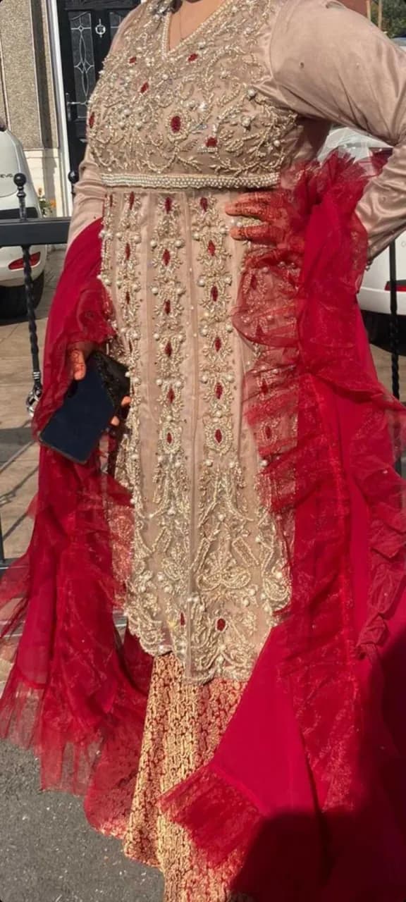 Asian heavy party wear dresss — image 1