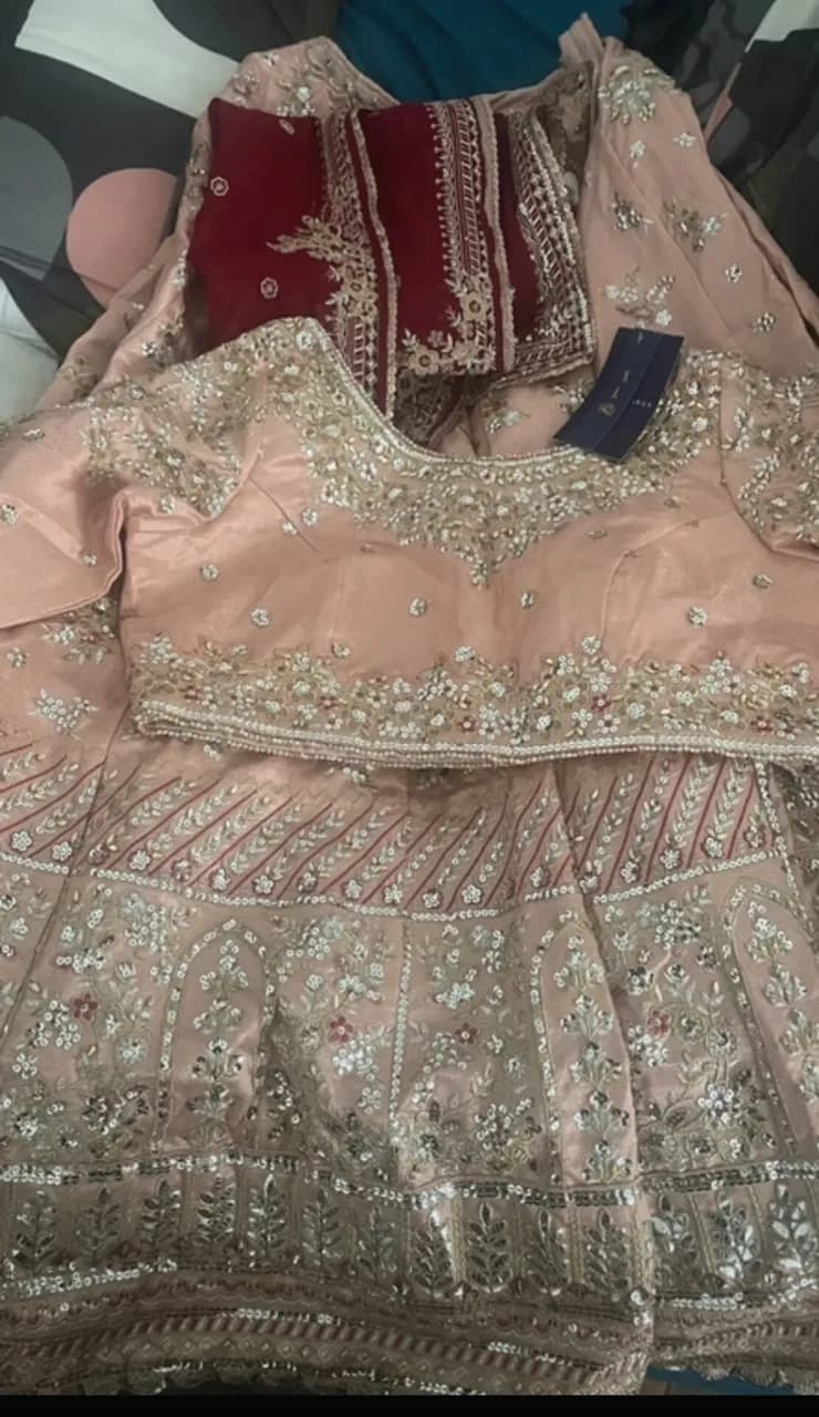 Lashkaraa Nude Pink and Red Embroidered Lehenga — image 1